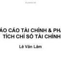 Bài giảng Báo cáo tài chính & phân tích chỉ số tài chính - Lê Văn Lâm