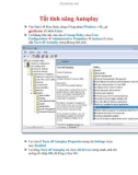 Thủ thuật Windows XP: Tắt tính năng Autoplay