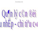 Quản lý cân đối thu nhập - chi tiêu công