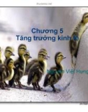 Bài giảng Kinh tế học: Chương V - Nguyễn Việt Hưng