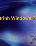 Bài giảng Lập trình Windows Form