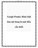 Google Panda: Khác biệt hóa nội dung là một điều cần thiết