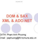 Bài giảng DOM & SAX XML & ADO.NET