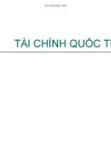 Bài giảng tài chính quốc tế - Lương Hằng