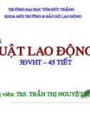 Bài giảng môn học Pháp luật bảo hộ lao động - ThS. Trần Thị Nguyệt Sương