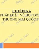 Bài giảng Luật Thương mại quốc tế - Chương 6: Pháp luật về hợp đồng thương mại quốc tế