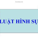 Bài giảng Luật Hình sự