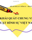 Bài giảng Luật hình sự: Bài 1 - Nguyễn Đình Sơn