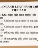 Bài giảng Luật Hành chính - Bài 1: Ngành Luật Hành chính Việt Nam