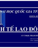 Kinh tế lao động - Chương giới thiệu