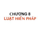 Bài giảng pháp luật - chương 7