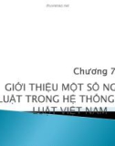 Bài giảng Pháp luật đại cương: Chương 7 - CĐ Kinh tế Công nghệ