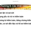 Bài giảng môn Lý thuyết kiểm toán: Chương 5