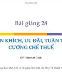 Bài giảng 28: Khuyến khích, ưu đãi, tuân thủ và cưỡng chế thuế - Đỗ Thiên Anh Tuấn