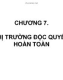 Bài giảng Chương 7: Thị trường độc quyền hoàn toàn