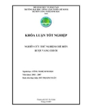 Khóa luận tốt nghiệp: Nghiên cứu thử nghiệm chế biến rượu vang chuối