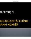 Bài giảng Tài chính doanh nghiệp: Chương 1 - ĐH Kinh tế