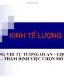 Bài giảng Kinh tế lượng - Chương 8: Tự tương quan – Chọn mô hình – Thẩm định việc chọn mô hình (2015)