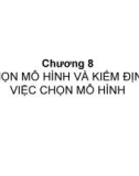 Bài giảng Kinh tế lượng - Chương 8: Chọn mô hình và kiểm định việc chọn mô hình