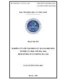 Luận án Tiến sĩ Hóa học: Nghiên cứu chế tạo điện cực quang điện hóa tổ hợp của PbO2 với TiO2, SnO2 định hướng xử lý metyl da cam