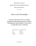 Tiêu luận tốt nghiệp: Khảo sát tình chăn nuôi và các bệnh Ornithobacterium Rhinotracheale, Coryza, viêm phế quản truyền nhiễm và Newcastle tại tỉnh Tiền Giang và Bến Tre