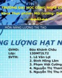 Báo cáo: Năng lượng hạt nhân