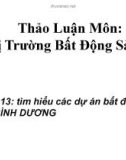 Bài thuyết trình thảo luận môn Thị trường bất động sản: Tìm hiểu các dự án bất động sản ở Bình Dương