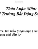 Bài thuyết trình thảo luận môn Thị trường bất động sản: Tìm hiểu (nhận diện ) rủi ro từ nợ số dạng chủ đầu tư