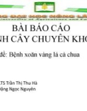 Bài báo cáo bệnh cây chuyên khoa: Bệnh xoăn vàng lá cà chua