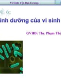 Báo cáo tiểu luận : Dinh dưỡng của vi sinh vật