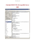 Câu lệnh EXECUTE AS trong SQL Server 2005- P1