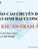 Báo cáo chuyên đề Vi sinh đại cương: Vi khuẩn Gram âm