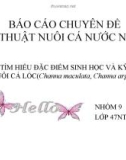 Luận văn báo cáo nhóm : tìm hiểu đặc điểm sinh học và kỹ thuật nuôi cá lóc ( Channa maculata, Channa argus)