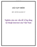 Tiểu luận: Nghiên cứu các vấn đề về hạ tầng kỹ thuật internet của Việt Nam