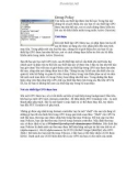 Group Policy Tìm hiểu các thiết lập được lưu thế nào