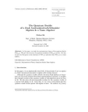 Báo cáo toán học: The Quantum Double of a Dual Andruskiewitsch-Schneider Algebra Is a Tame Algebra