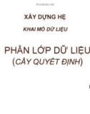 Bài giảng Xây dựng hệ khai mỏ dữ liệu: Phân lớp dữ liệu (cây quyết định) - Phan Hiển