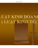 Bài giảng Luật kinh doanh - Luật kinh tế