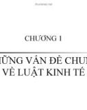 Bài giảng Luật Kinh tế.