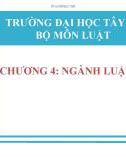 Bài giảng Pháp luật đại cương: Chương 4 - Nguyễn Minh Nhật