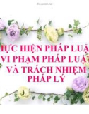 Bài giảng Thực hiện pháp luật, vi phạm pháp luật và trách nhiệm pháp lý