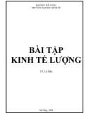 CÁC BÀI TẬP KINH TẾ LƯỢNG