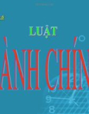 Bài giảng Pháp luật đại cương: Chương 6