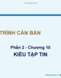 Bài giảng Lập trình căn bản: Chương 10 - Võ Duy Tín