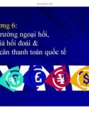 Bài giảng Kinh tế quốc tế - Chương 6: Thị trường ngoại hối, Tỷ giá hối đoái & Cán cân thanh toán quốc tế