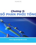 Bài giảng Nguyên lý thống kê: Chương 5 - Nguyễn Ngọc Lam