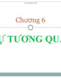 Bài giảng Kinh tế lượng: Chương 6 - Trần Thị Tuấn Anh