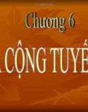 Bài giảng Kinh tế lượng: Chương 6 - Lê Thị Hồng Hoa