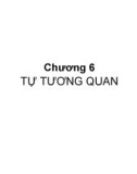 Bài giảng Kinh tế lượng - Chương 6: Tự tương quan