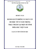 Luận án tiến sĩ Dược học: Đánh giá ô nhiễm và nguy cơ do độc tố vi nấm trong thực phẩm tại một số tỉnh phía Bắc Việt Nam